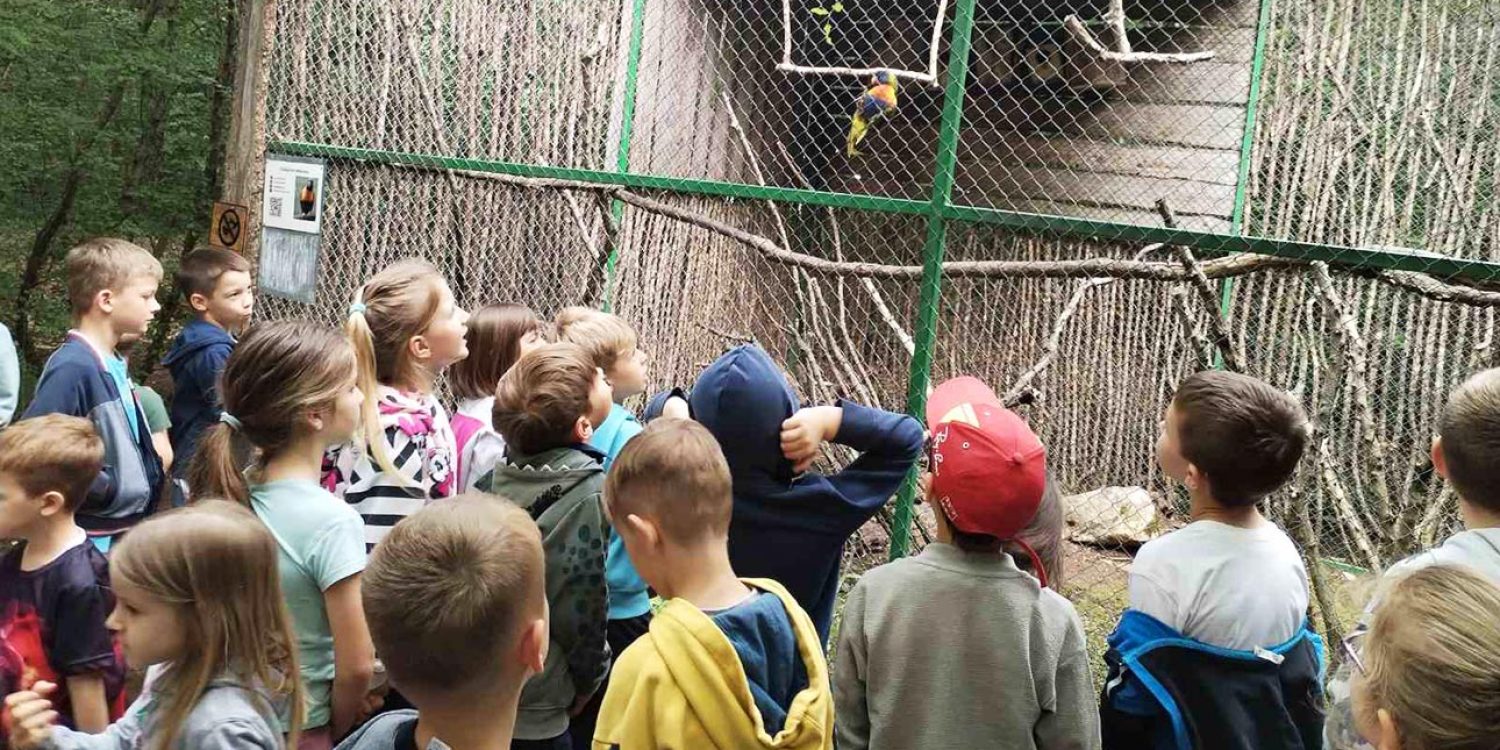 Bubamare i Pčelice u Papago parku